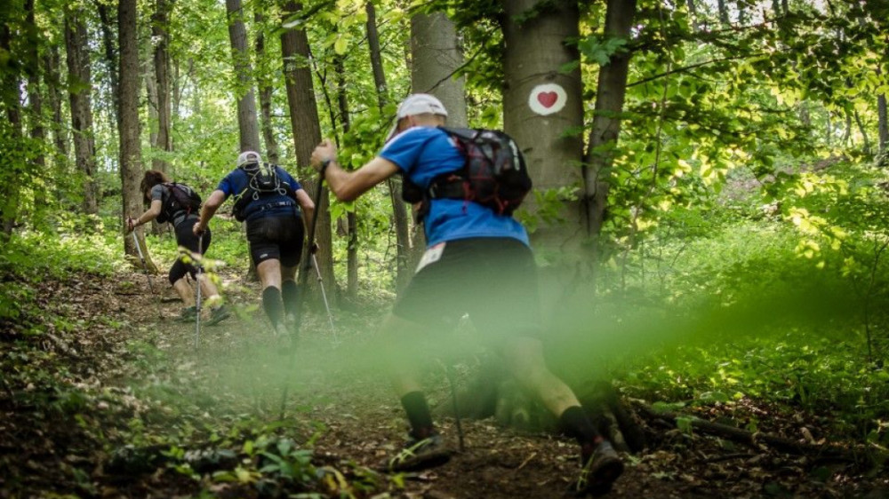 Planinarski maraton na Fruškoj gori 